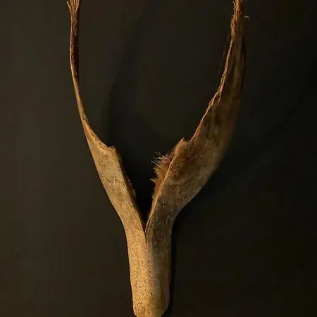 Apartment Chaleureux Entre Zola Et Proce.