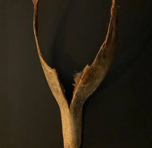 公寓 Chaleureux Entre Zola Et Proce.