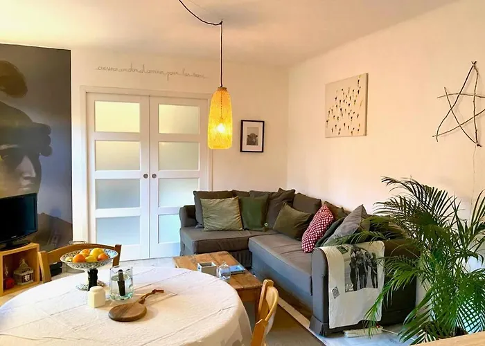 Chaleureux Entre Zola Et Proce. * 南特